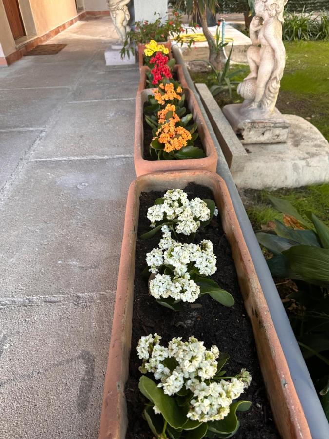 Ajoaolbia B&B Dış mekan fotoğraf