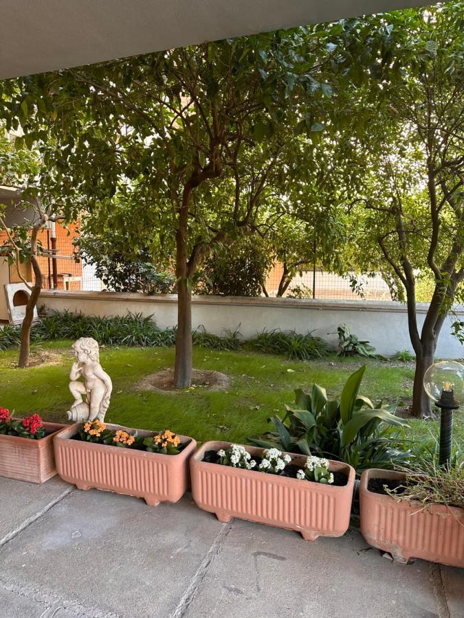 Ajoaolbia B&B Dış mekan fotoğraf