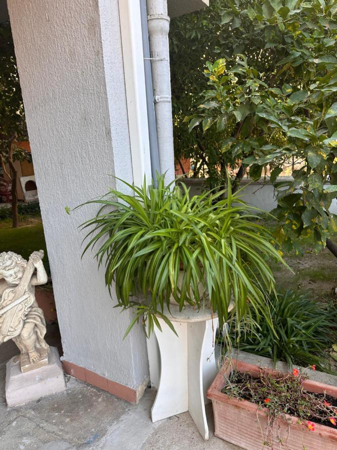 Ajoaolbia B&B Dış mekan fotoğraf